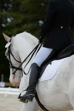 So8ths-5-3-13-Dressage-4902-LaurieWettstone-Moonstruck-DDeRosaPhoto