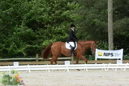 So8ths-5-3-13-Dressage-4941-SarahBaker-PoeticJustice-DDeRosaPhoto