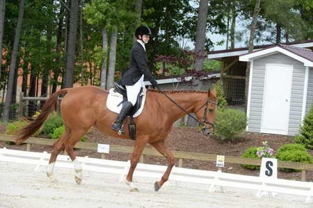 So8ths-5-3-13-Dressage-4979-SarahBaker-PoeticJustice-DDeRosaPhoto