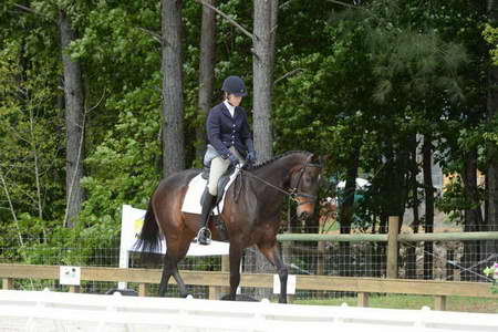 So8ths-5-3-13-Dressage-4982-KaitlynnMosing-Powerhound-DDeRosaPhoto