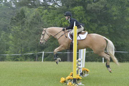 So8ths-5-5-13-SJ-Day-9633-TaylorPence-Goldie-DDeRosaPhoto