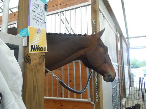 6-AnimalPortrait-1st-5-So8ths-5-3-13-NikonPhotoContest-0214