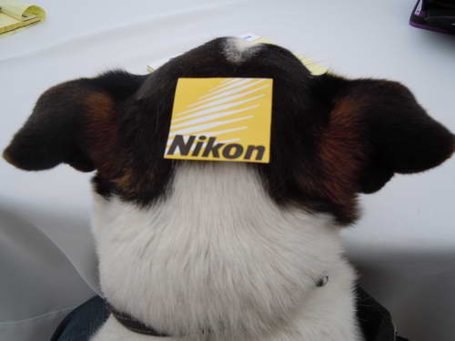 Kaitlyn Ferrell-8-So8ths-5-3-13-NikonPhotoContest-0009