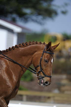 So8ths-11-29-11-DR2-031-DDeRosaPhoto.JPG