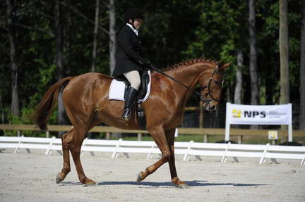 So8ths-11-29-11-DR2-085-DDeRosaPhoto.JPG