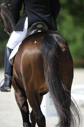 So8ths-11-29-11-DR2-286-DDeRosaPhoto.JPG