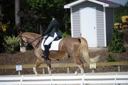 So8ths-11-29-11-DR2-356-DDeRosaPhoto.JPG