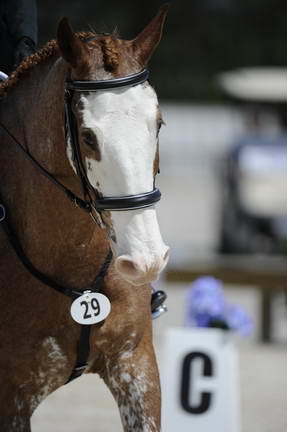 So8ths-11-29-11-DR2-376-DDeRosaPhoto.JPG