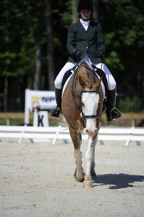 So8ths-11-29-11-DR2-387-DDeRosaPhoto.JPG