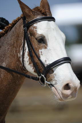 So8ths-11-29-11-DR2-389-DDeRosaPhoto.JPG