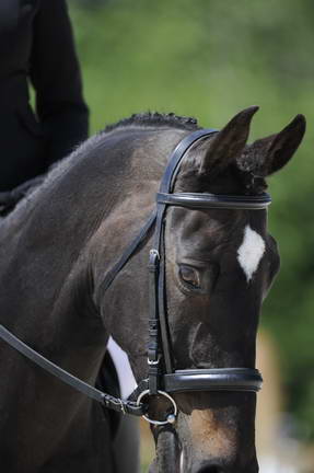 So8ths-11-29-11-DR2-417-DDeRosaPhoto.JPG