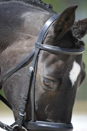 So8ths-11-29-11-DR2-418-DDeRosaPhoto.JPG