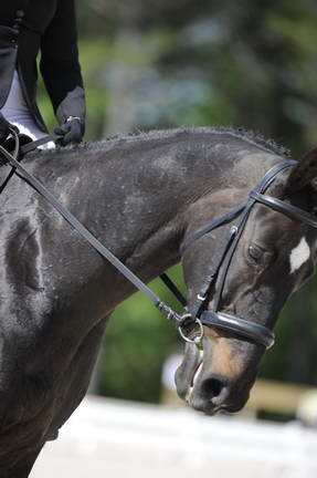 So8ths-11-29-11-DR2-439-DDeRosaPhoto.JPG