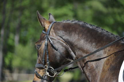 So8ths-11-29-11-DR2-492-DDeRosaPhoto.JPG