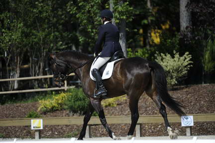 So8ths-11-29-11-DR2-493-DDeRosaPhoto.JPG