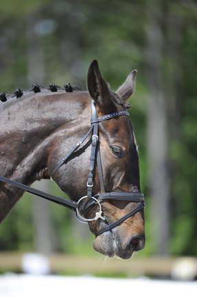 So8ths-11-29-11-DR2-501-DDeRosaPhoto.JPG