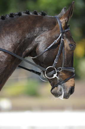 So8ths-11-29-11-DR2-527-DDeRosaPhoto.JPG