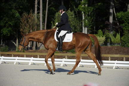 So8ths-4-28-11-DR-1377-DDeRosaPhoto.JPG