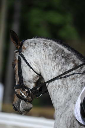 So8ths-4-28-11-DR-1578-DDeRosaPhoto.JPG