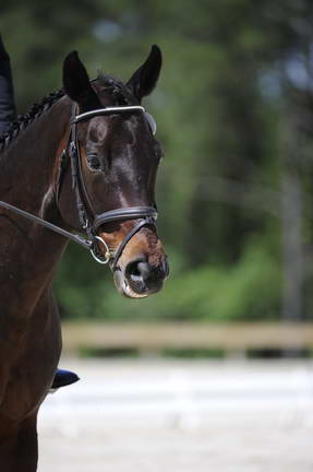 So8ths-4-28-11-DR-1755-DDeRosaPhoto.JPG