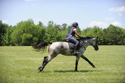 So8ths-4-29-11-2204-DDeRosaPhoto.JPG
