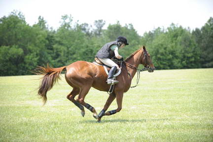 So8ths-4-29-11-2253-DDeRosaPhoto.JPG