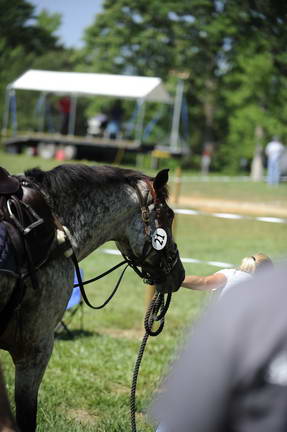 So8ths-4-30-11-4122-DDeRosaPhoto.JPG