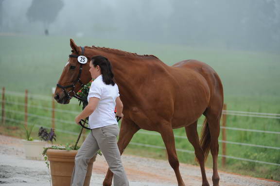 So8ths-5-1-11-5489-DDeRosaPhoto.JPG