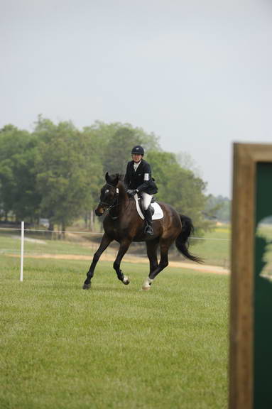 So8ths-5-1-11-6128-Ardastra-CorinneAshton-DDeRosaPhoto.JPG