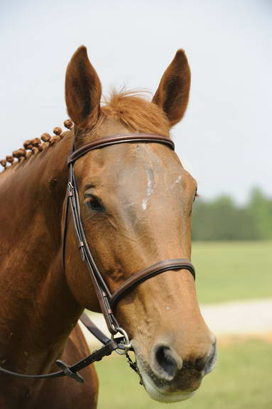 So8ths-5-1-11-6184-PennyLane-AnnieLane-Maunder-DDeRosaPhoto.JPG
