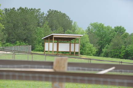 So8ths-4-26-11-0476-DDeRosaPhoto.JPG