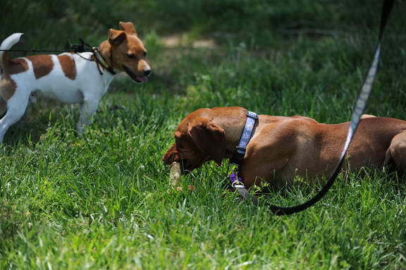 So8ths-4-29-11-2486-DDeRosaPhoto.JPG