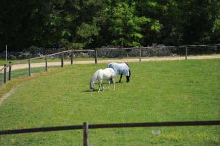 So8ths-4-25-11-0098-DDeRosaPhoto.JPG