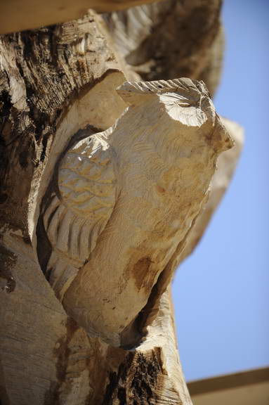 So8ths-4-29-11-2508-DDeRosaPhoto.JPG