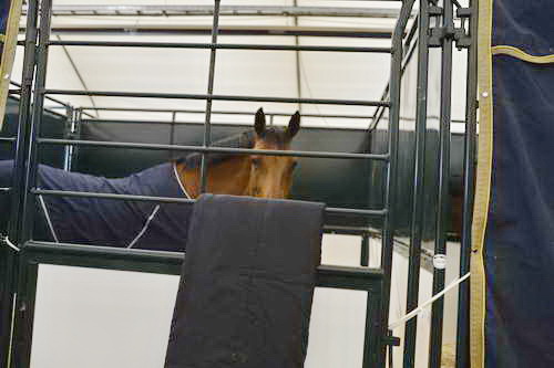 Spruce-Meadows-9-3-13-5243-DDeRosaPhoto