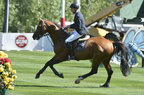 Spruce-Meadows-9-4-13-6971-PatrickStuhlmeyer-LordLohengrin-GER-DDeRosaPhoto