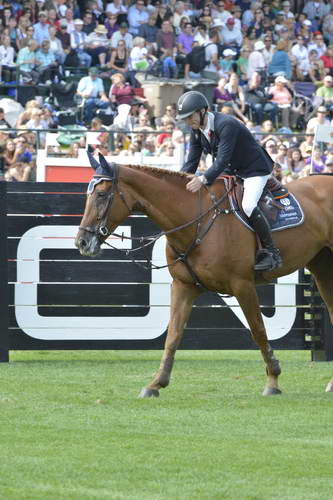 Spruce-Meadows-9-8-13-3600-PieterDevos-Candy-BEL-DDeRosaPhoto