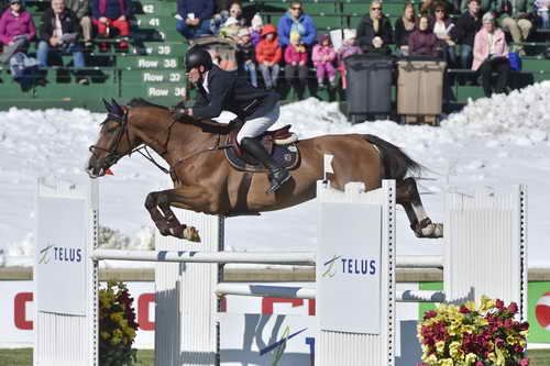 Spruce-TelusCup-9-11-14-1839-GuyWilliams-Basic-GBR-DDeRosaPhoto