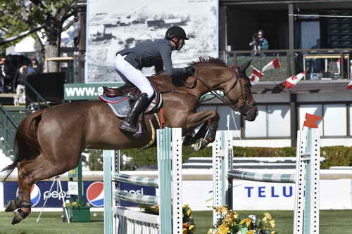 Spruce-TelusCup-9-11-14-1997-KevinStaut-EstoyAquiDeMuzeHDC-FRA-DDeRosaPhoto