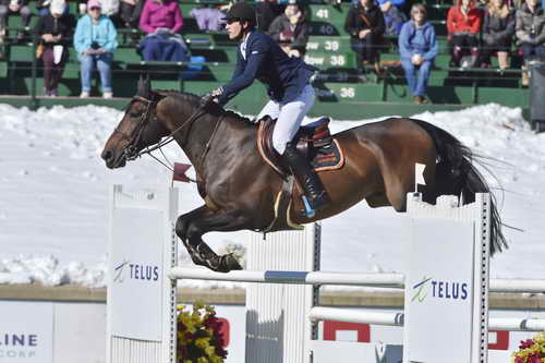 Spruce-TelusCup-9-11-14-2310-NicolaPhilippaerts-ForeverDArcoTerLinden-BEL-DDeRosaPhoto