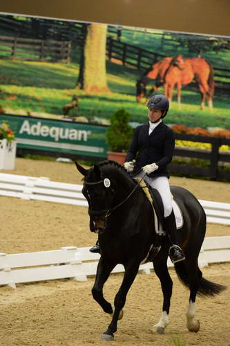 DressageFinals-10-7-13-0296-AmandaJohnson-Foley-DDeRosaPhoto