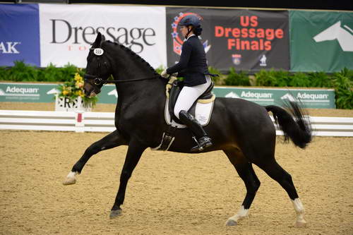 DressageFinals-10-7-13-0309-AmandaJohnson-Foley-DDeRosaPhoto