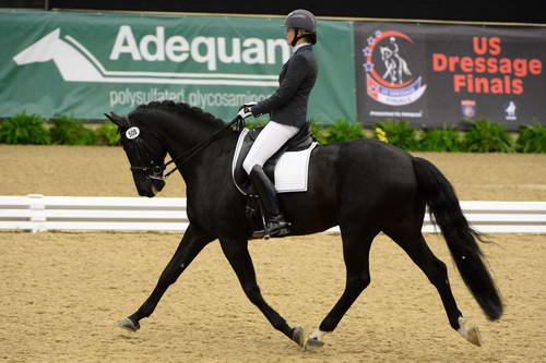 DressageFinals-10-7-13-0395-SusanJones-Connaisseur-DDeRosaPhoto