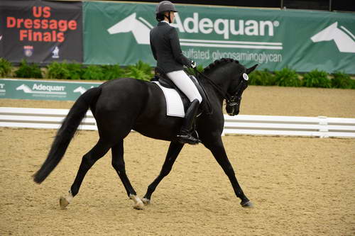 DressageFinals-10-7-13-0398-SusanJones-Connaisseur-DDeRosaPhoto