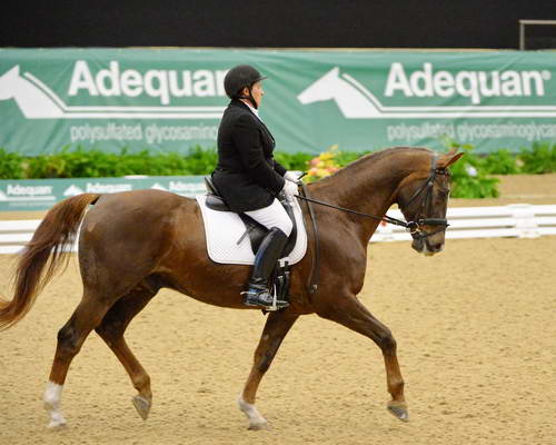 DressageFinals-10-7-13-0418-KathrynRizzoni-Faraday-DDeRosaPhoto