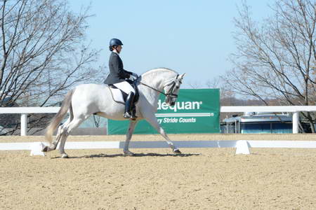 HHB-DressageFinals-11-8-13-0502-DDeRosaPhoto