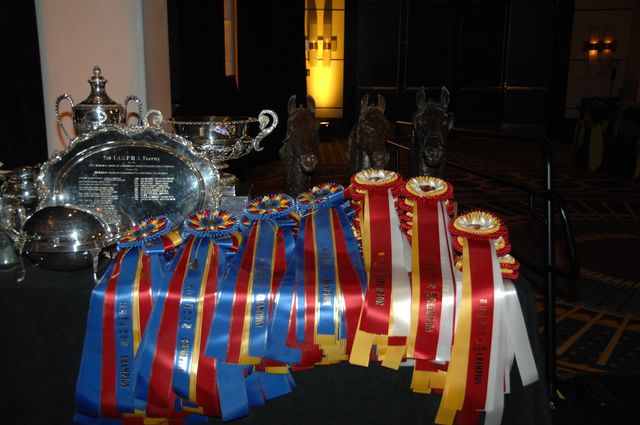 389-USEF-1-12-08-DDeRosaPhoto.jpg