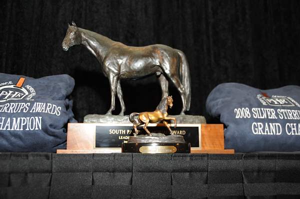 1-15-09-USEFConvention-059-DeRosaPhoto.jpg