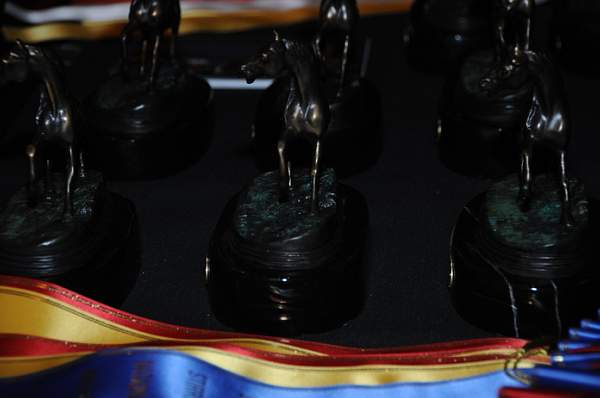1-15-09-USEFConvention-070-DeRosaPhoto.jpg