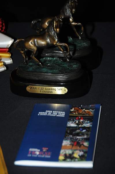 1-15-09-USEFConvention-073-DeRosaPhoto.jpg